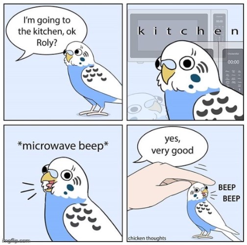 image tagged in birb,frost | made w/ Imgflip meme maker