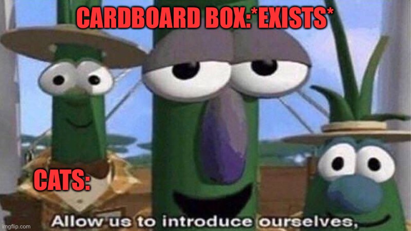 cardboard box | CARDBOARD BOX:*EXISTS*; CATS: | image tagged in veggietales 'allow us to introduce ourselfs',cat | made w/ Imgflip meme maker