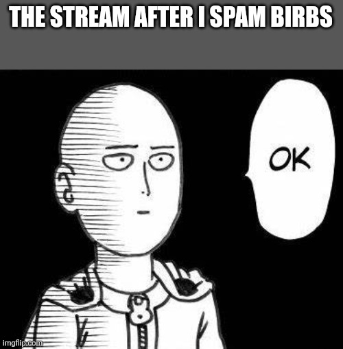 Soka | THE STREAM AFTER I SPAM BIRBS | image tagged in soka | made w/ Imgflip meme maker