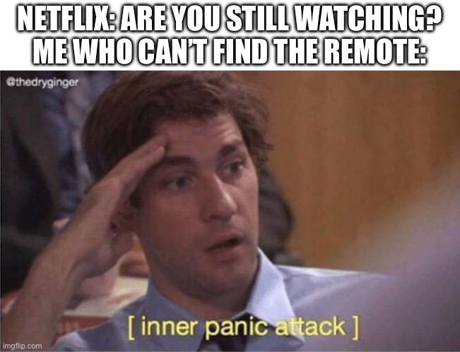 Inner panic attack | NETFLIX: ARE YOU STILL WATCHING?
ME WHO CAN’T FIND THE REMOTE: | image tagged in inner panic attack | made w/ Imgflip meme maker