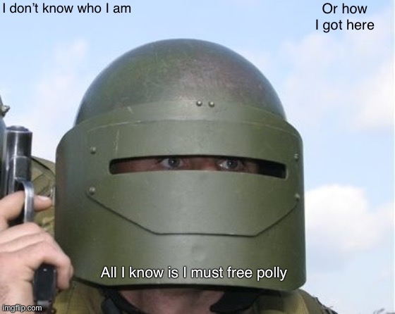 I don't know who I am... | I don’t know who I am; Or how I got here; All I know is I must free polly | image tagged in i don't know who i am | made w/ Imgflip meme maker