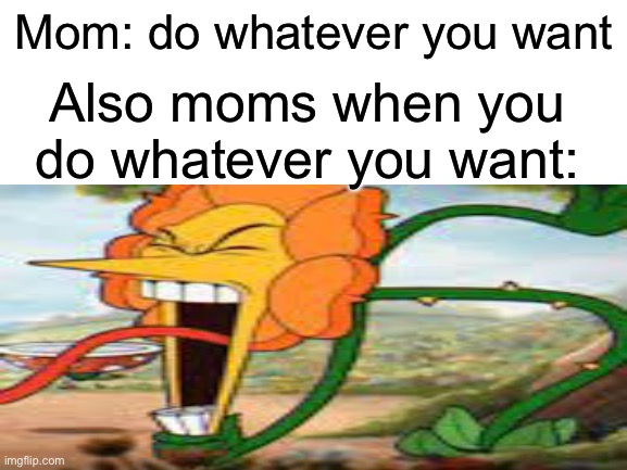but i thought you said yes | Mom: do whatever you want; Also moms when you do whatever you want: | image tagged in childhood,memes,funny | made w/ Imgflip meme maker