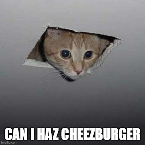 cheez | CAN I HAZ CHEEZBURGER | image tagged in memes,cats,cheeseburger,i can has cheezburger cat,cheezburger,chezburger | made w/ Imgflip meme maker
