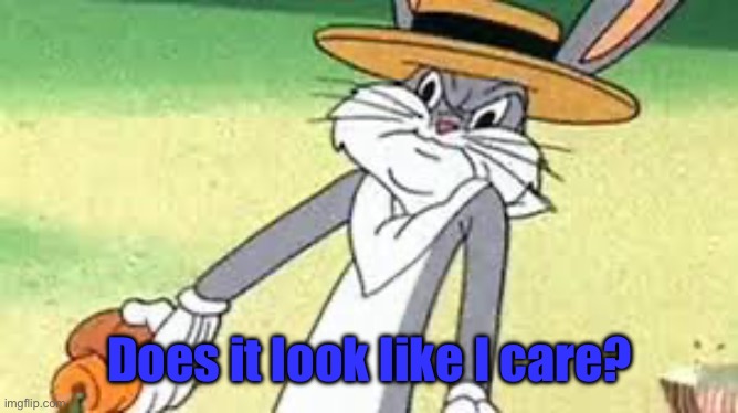 Does it look like i care | Does it look like I care? | image tagged in does it look like i care | made w/ Imgflip meme maker