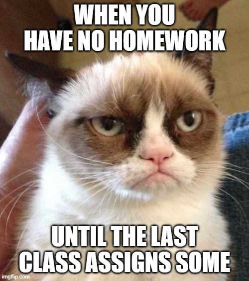 Grumpy Cat Reverse Meme | WHEN YOU HAVE NO HOMEWORK; UNTIL THE LAST CLASS ASSIGNS SOME | image tagged in memes,grumpy cat reverse,grumpy cat | made w/ Imgflip meme maker