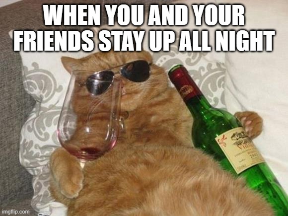 Funny Cat Birthday | WHEN YOU AND YOUR FRIENDS STAY UP ALL NIGHT | image tagged in funny cat birthday | made w/ Imgflip meme maker