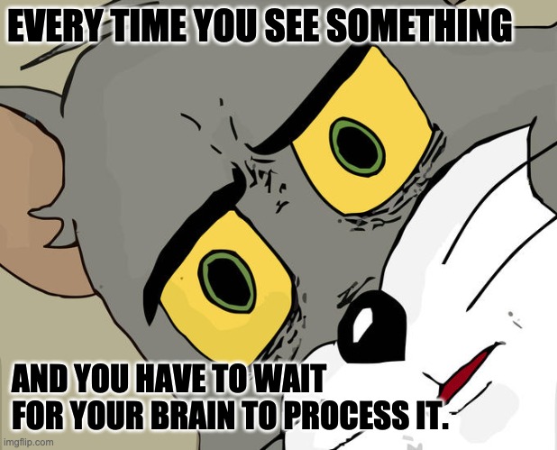 needs more brain cells | EVERY TIME YOU SEE SOMETHING; AND YOU HAVE TO WAIT FOR YOUR BRAIN TO PROCESS IT. | image tagged in memes,unsettled tom | made w/ Imgflip meme maker