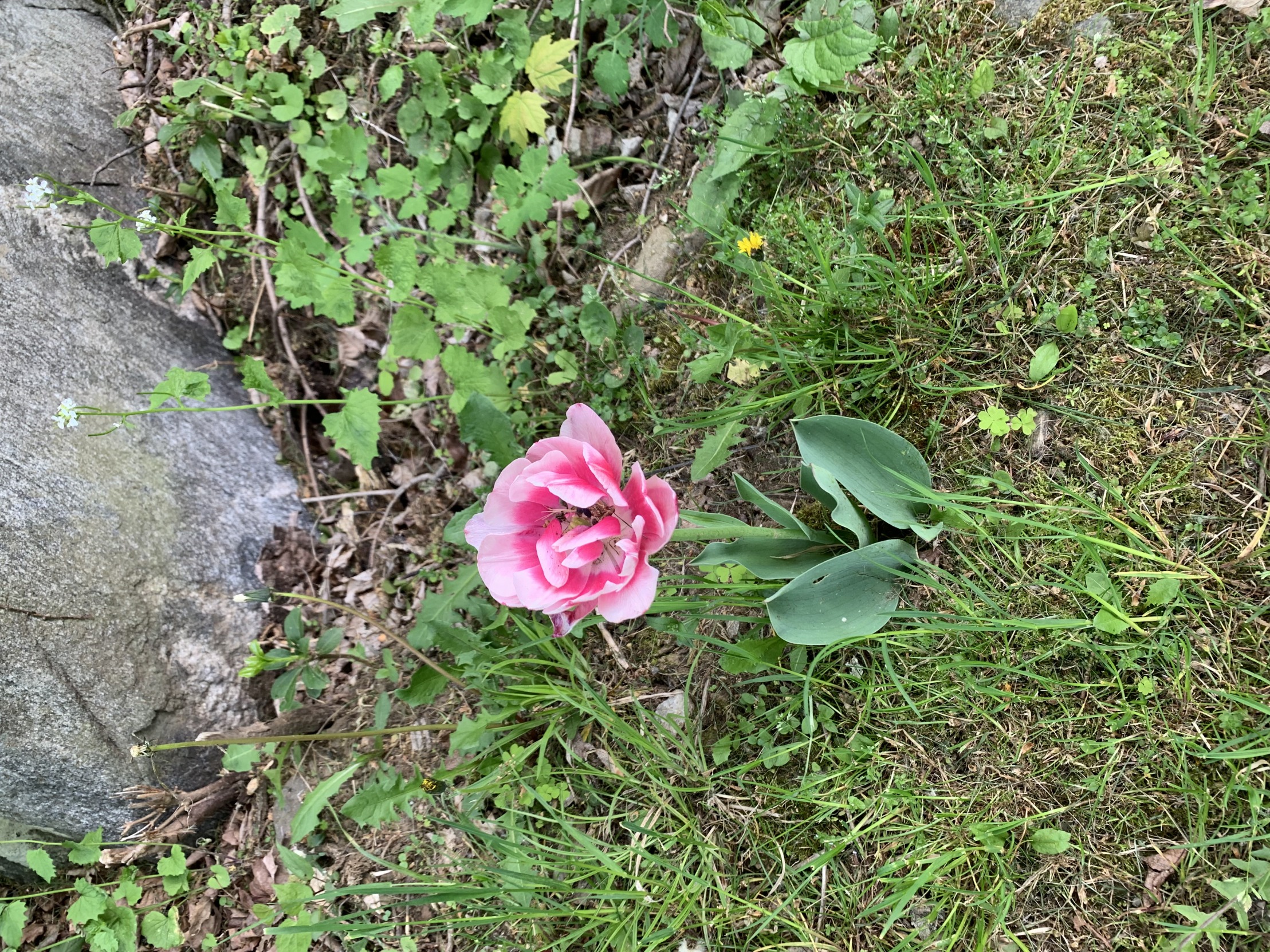 Haggai 2:6-9 Blank Meme Template