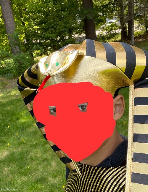 I decided to dress up as an Egyptian ‘cuz I can, I would like to show my face, but this is the internet | image tagged in egypt,gods of egypt,share,your,photos | made w/ Imgflip meme maker