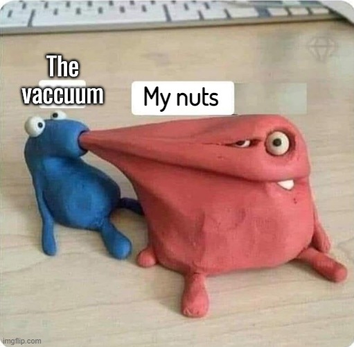 The vaccuum; My nuts | made w/ Imgflip meme maker