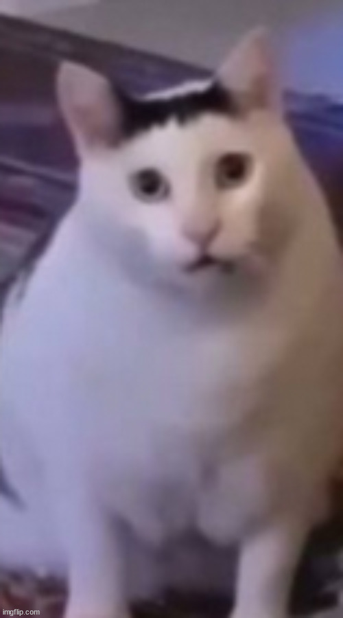 face revel, | made w/ Imgflip meme maker