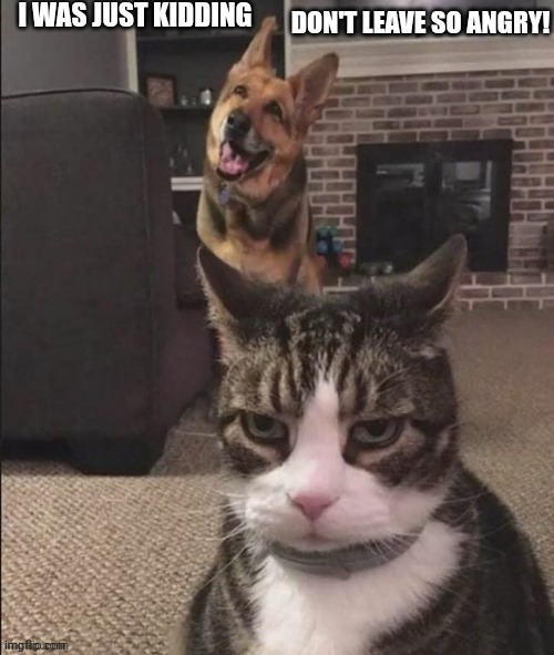 Happy Dog and Annoyed Cat | I WAS JUST KIDDING; DON'T LEAVE SO ANGRY! | image tagged in happy dog and annoyed cat | made w/ Imgflip meme maker