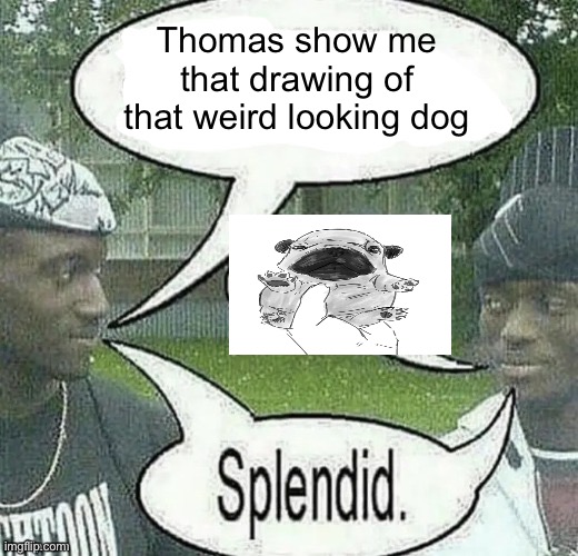 We sell crack Splendid | Thomas show me that drawing of that weird looking dog | image tagged in we sell crack splendid | made w/ Imgflip meme maker