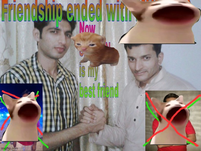 cat | image tagged in friendship ended,cat,cats | made w/ Imgflip meme maker
