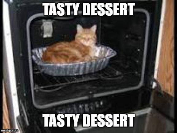 Cat in oven | TASTY DESSERT TASTY DESSERT | image tagged in cat in oven | made w/ Imgflip meme maker