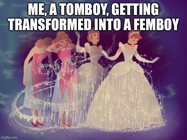 Cinderella Transformation | ME, A TOMBOY, GETTING TRANSFORMED INTO A FEMBOY | image tagged in cinderella transformation | made w/ Imgflip meme maker