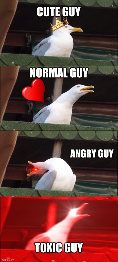 Inhaling Seagull | CUTE GUY; NORMAL GUY; ANGRY GUY; TOXIC GUY | image tagged in memes,inhaling seagull | made w/ Imgflip meme maker