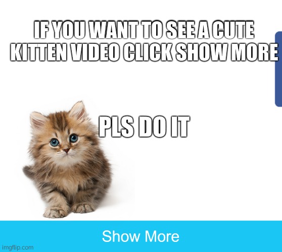 Do it | IF YOU WANT TO SEE A CUTE KITTEN VIDEO CLICK SHOW MORE; PLS DO IT | image tagged in show more | made w/ Imgflip meme maker