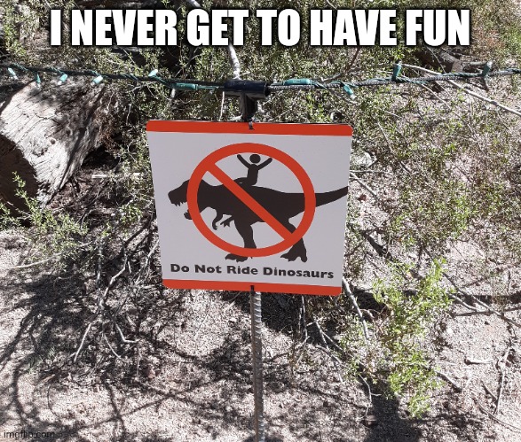 Ah, well maybe later | I NEVER GET TO HAVE FUN | image tagged in funny,dinosaur | made w/ Imgflip meme maker