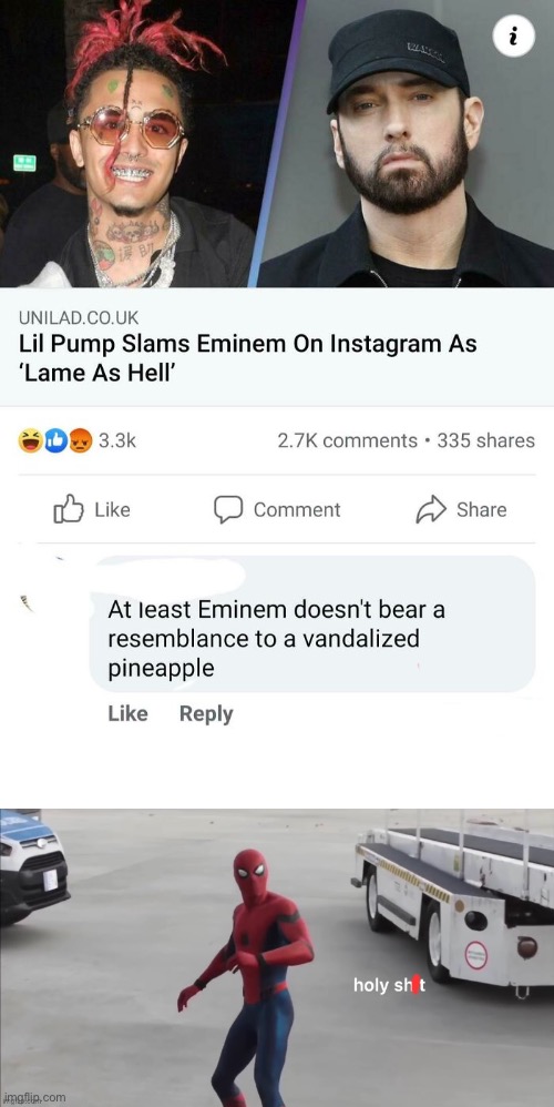 I wanted to post something here idk why | image tagged in insults,eminem | made w/ Imgflip meme maker