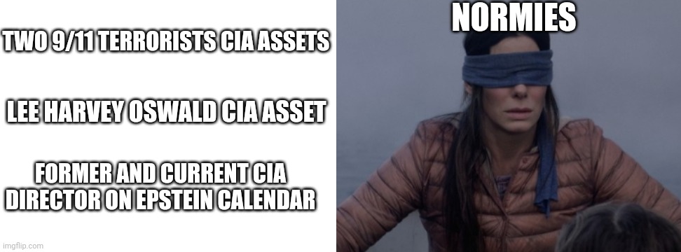 Normies | NORMIES; TWO 9/11 TERRORISTS CIA ASSETS; LEE HARVEY OSWALD CIA ASSET; FORMER AND CURRENT CIA DIRECTOR ON EPSTEIN CALENDAR | image tagged in blank white template,bird box | made w/ Imgflip meme maker