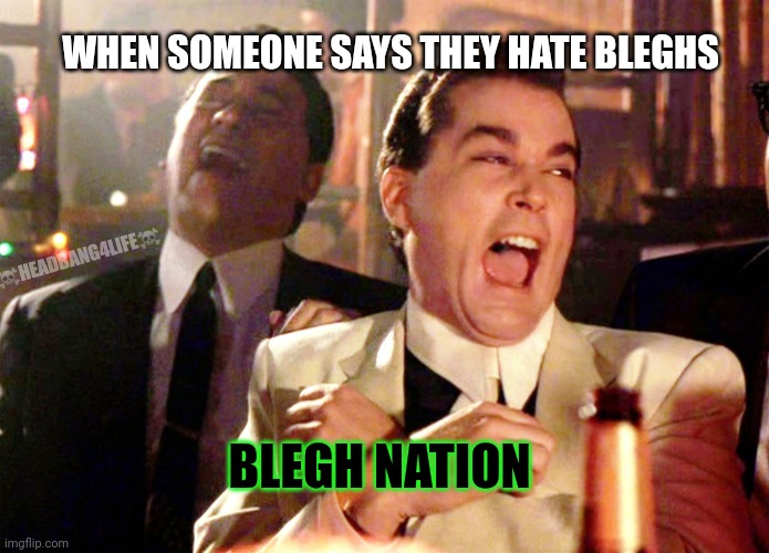 BLEGH NATION GROUP | WHEN SOMEONE SAYS THEY HATE BLEGHS; ☠️HEADBANG4LIFE☠️; BLEGH NATION | image tagged in memes,good fellas hilarious | made w/ Imgflip meme maker