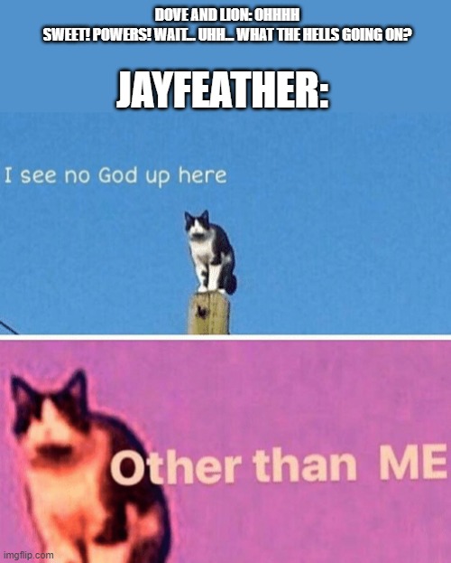 Haha Jayfeather lol | DOVE AND LION: OHHHH SWEET! POWERS! WAIT... UHH... WHAT THE HELLS GOING ON? JAYFEATHER: | image tagged in hail pole cat | made w/ Imgflip meme maker