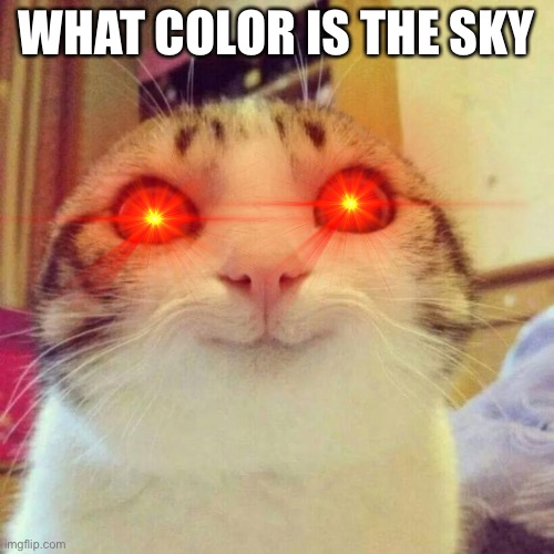 WHAT COLOR IS THE SKY | made w/ Imgflip meme maker