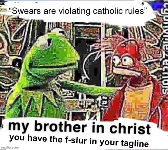 My brother in Christ | “Swears are violating catholic rules” you have the f-slur in your tagline | image tagged in my brother in christ | made w/ Imgflip meme maker