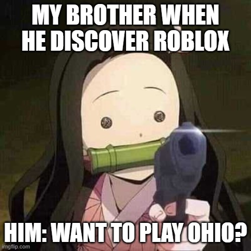 NEZUKO NOOOOO!!! | MY BROTHER WHEN HE DISCOVER ROBLOX; HIM: WANT TO PLAY OHIO? | image tagged in nezuko nooooo | made w/ Imgflip meme maker