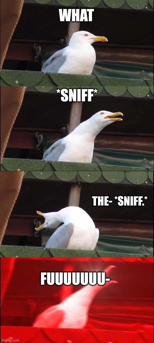 Me be like- | WHAT; *SNIFF*; THE- *SNIFF.*; FUUUUUUU- | image tagged in memes,inhaling seagull | made w/ Imgflip meme maker