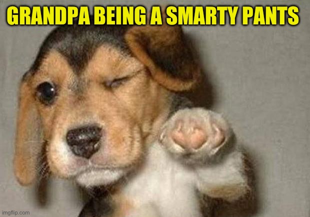 Winking Dog | GRANDPA BEING A SMARTY PANTS | image tagged in winking dog | made w/ Imgflip meme maker