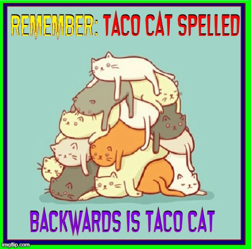 Your Zany Palindrome of Day 88 of the Year | image tagged in vince vance,cats,palindrome,memes,comics/cartoons,taco cat | made w/ Imgflip meme maker