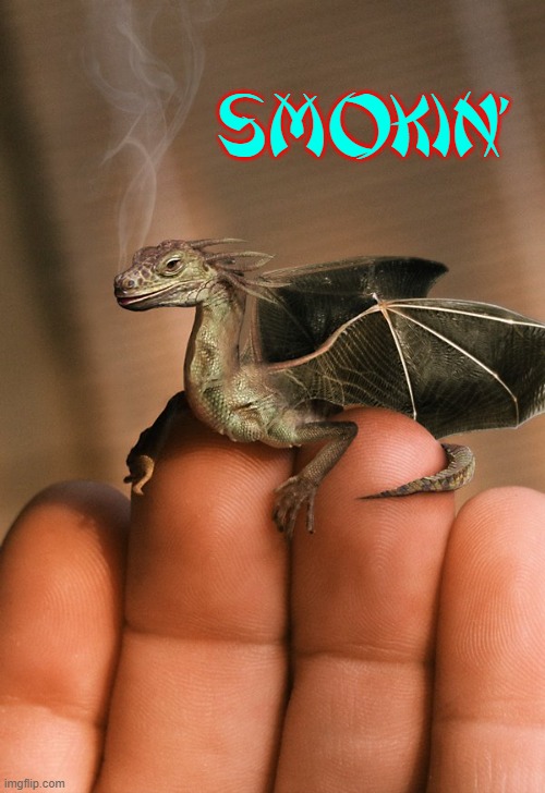 Baby Dragon Chillin' | SMOKIN' | image tagged in vince vance,how to train your dragon,baby dragon,baby,dragons,memes | made w/ Imgflip meme maker