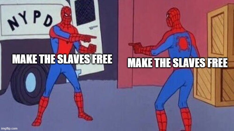 which one | MAKE THE SLAVES FREE; MAKE THE SLAVES FREE | image tagged in spiderman pointing at spiderman | made w/ Imgflip meme maker