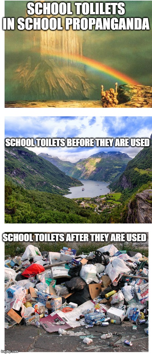 School toilets | SCHOOL TOLILETS IN SCHOOL PROPANGANDA; SCHOOL TOILETS BEFORE THEY ARE USED; SCHOOL TOILETS AFTER THEY ARE USED | image tagged in asgard midgard sogard | made w/ Imgflip meme maker