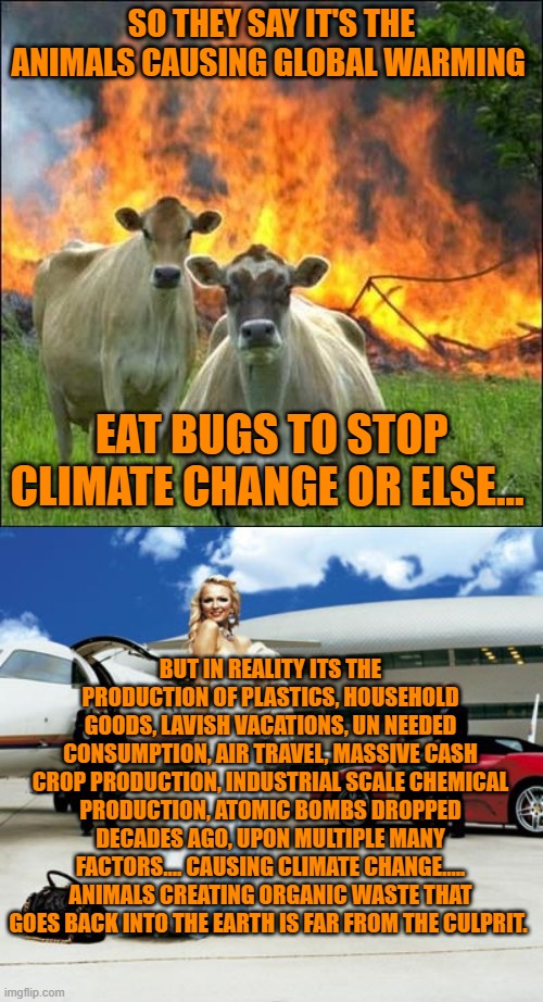SO THEY SAY IT'S THE ANIMALS CAUSING GLOBAL WARMING; EAT BUGS TO STOP CLIMATE CHANGE OR ELSE... BUT IN REALITY ITS THE PRODUCTION OF PLASTICS, HOUSEHOLD GOODS, LAVISH VACATIONS, UN NEEDED CONSUMPTION, AIR TRAVEL, MASSIVE CASH CROP PRODUCTION, INDUSTRIAL SCALE CHEMICAL PRODUCTION, ATOMIC BOMBS DROPPED DECADES AGO, UPON MULTIPLE MANY FACTORS.... CAUSING CLIMATE CHANGE..... ANIMALS CREATING ORGANIC WASTE THAT GOES BACK INTO THE EARTH IS FAR FROM THE CULPRIT. | image tagged in memes,evil cows,conspicuous consumption | made w/ Imgflip meme maker