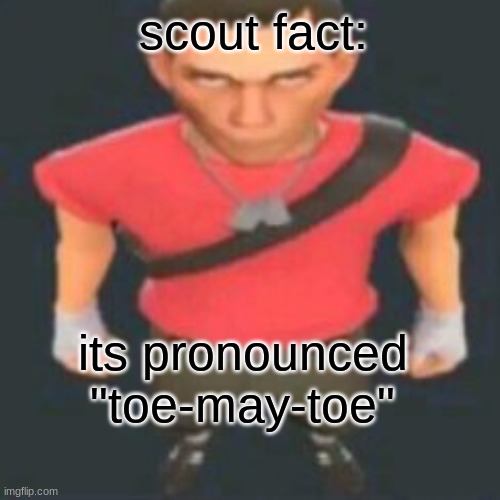 scout fact: its pronounced "toe-may-toe" | made w/ Imgflip meme maker