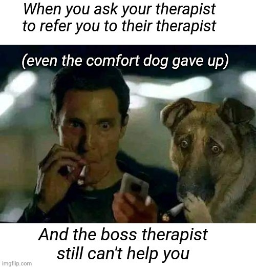 Comfort dog failure | (even the comfort dog gave up) | image tagged in comfort,therapist,therapy,funny memes | made w/ Imgflip meme maker