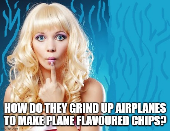 ditzy blonde | HOW DO THEY GRIND UP AIRPLANES TO MAKE PLANE FLAVOURED CHIPS? | image tagged in ditzy blonde | made w/ Imgflip meme maker