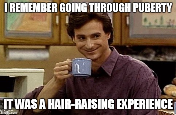 Dad Joke | I REMEMBER GOING THROUGH PUBERTY; IT WAS A HAIR-RAISING EXPERIENCE | image tagged in dad joke,meme,memes,funny | made w/ Imgflip meme maker