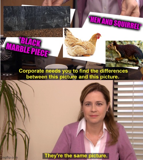 -Random walk. | *HEN AND SQUIRREL*; *BLACK MARBLE PIECE* | image tagged in memes,they're the same picture,big diglett underground,metro,red hen,squirrel nuts | made w/ Imgflip meme maker