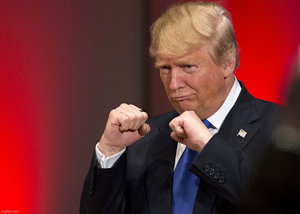 Donald Trump fists | image tagged in donald trump fists | made w/ Imgflip meme maker