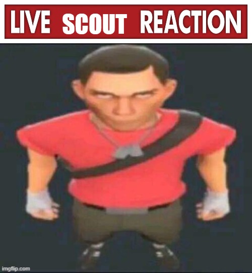 live scout reaction | image tagged in live scout reaction | made w/ Imgflip meme maker