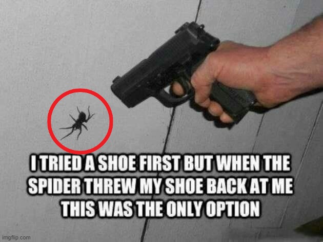 giant enemy spider | image tagged in guns,spiders | made w/ Imgflip meme maker