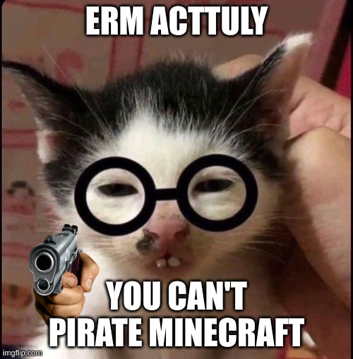 ERM!! ACTUALLY | ERM ACTTULY; YOU CAN'T PIRATE MINECRAFT | image tagged in erm actually | made w/ Imgflip meme maker