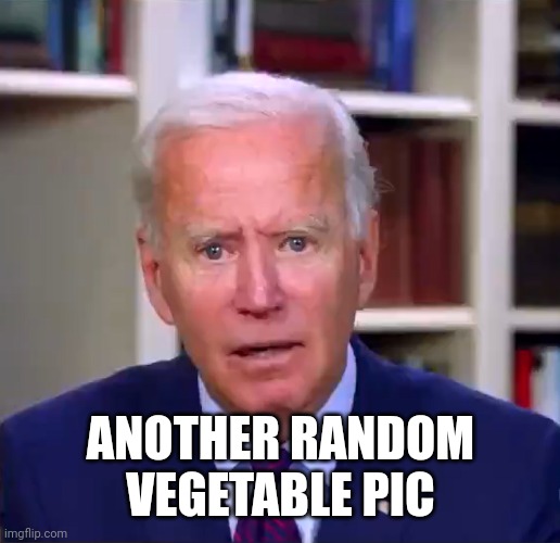 Slow Joe Biden Dementia Face | ANOTHER RANDOM VEGETABLE PIC | image tagged in slow joe biden dementia face | made w/ Imgflip meme maker