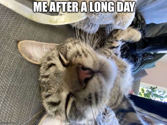 Me after  a long day | ME AFTER A LONG DAY | image tagged in me after a long day | made w/ Imgflip meme maker