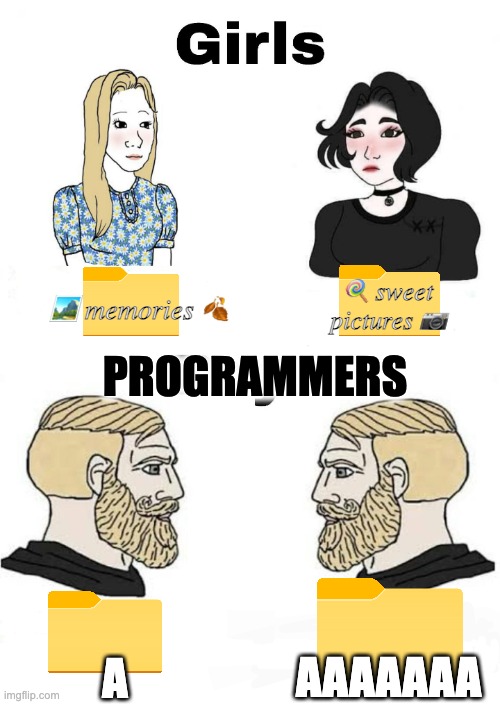 Girls vs Boys | 🏞️ memories 🍂; 🍭 sweet pictures 📷; PROGRAMMERS; AAAAAAA; A | image tagged in girls vs boys | made w/ Imgflip meme maker