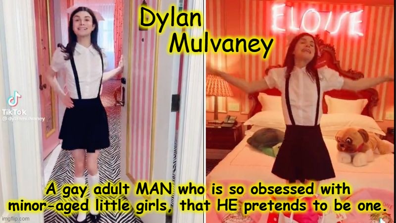 Dylan "Little Girl" Mulvaney" | Dylan
                      Mulvaney; A gay adult MAN who is so obsessed with minor-aged little girls, that HE pretends to be one. | image tagged in dylan mulvaney,eloise,gender ideology,tik tok,bud light,lgbtq | made w/ Imgflip meme maker